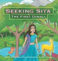 bokomslag Seeking Sita