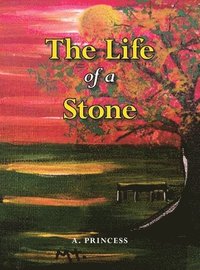 bokomslag Life of a Stone