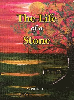 The Life of a Stone 1