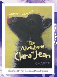 bokomslag The Adventures of Clara Jean