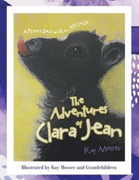 bokomslag The Adventures of Clara Jean