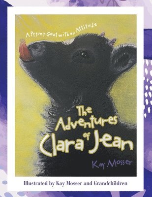 The Adventures of Clara Jean 1