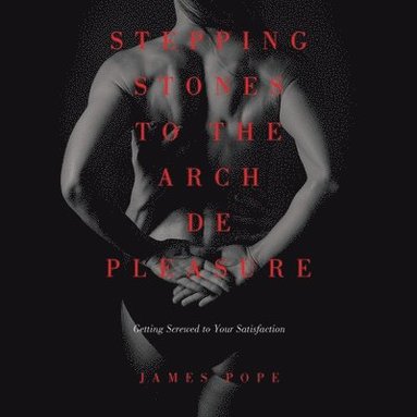 James Pope - Stepping Stones to the ARCH De Pleasure, Häftad