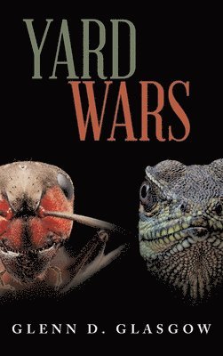 Yard Wars 1