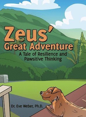 bokomslag Zeus' Great Adventure