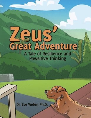 bokomslag Zeus' Great Adventure