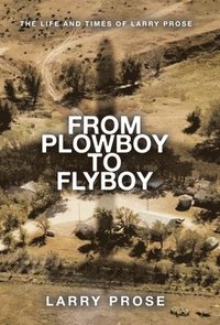 bokomslag From Plowboy to Flyboy