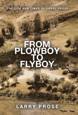 bokomslag From Plowboy to Flyboy