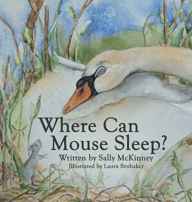 Where Can Mouse Sleep? 1