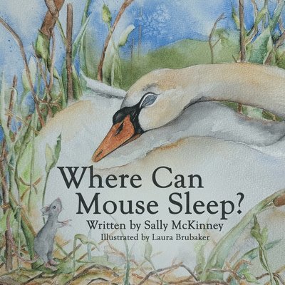 Where Can Mouse Sleep? 1