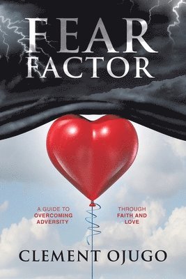 bokomslag Fear Factor