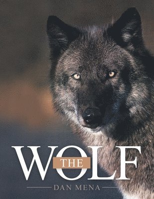 The Wolf 1