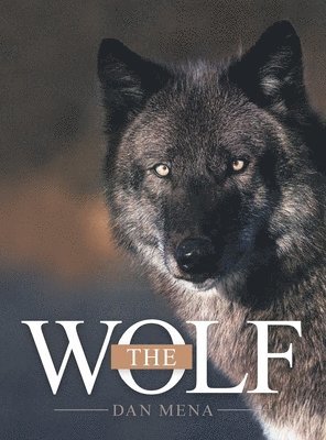 The Wolf 1