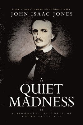 bokomslag Quiet Madness