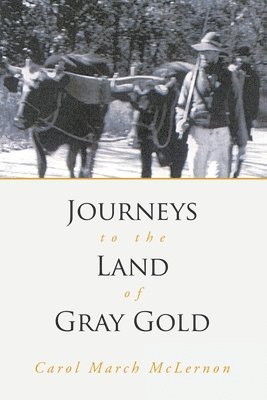bokomslag Journeys to the Land of Gray Gold