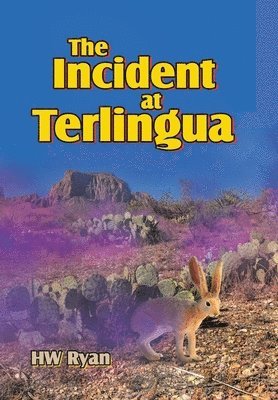bokomslag Incident at Terlingua
