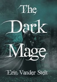 bokomslag The Dark Mage