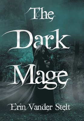 bokomslag Dark Mage
