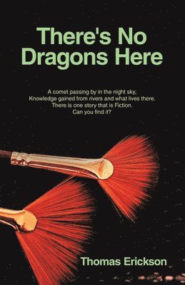 Thomas Erickson - There's No Dragons Here, Häftad