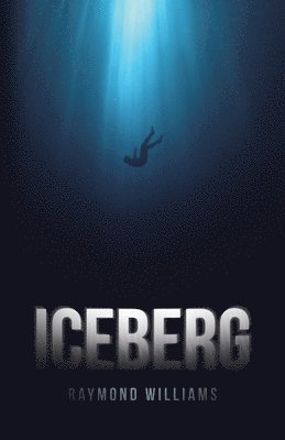 Raymond Williams - Iceberg, Häftad