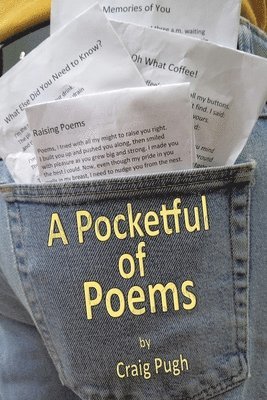 bokomslag Pocketful of Poems