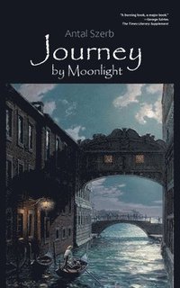 bokomslag Journey by Moonlight