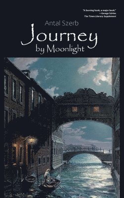 bokomslag Journey by Moonlight