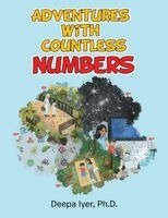 Deepa Iyer - Adventures with Countless Numbers, Häftad