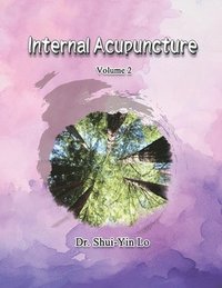 bokomslag Internal Acupuncture (Volume 2)
