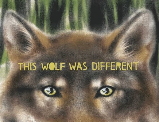 This Wolf Was Different 1