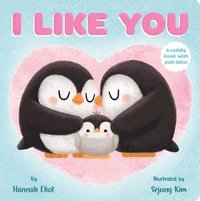 bokomslag I Like You