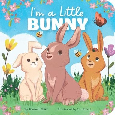 Hannah Eliot - I'm a Little Bunny, Kartonnage