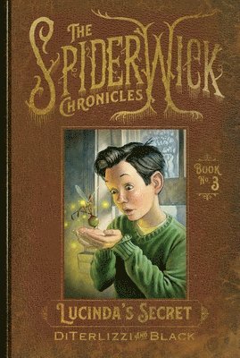 Tony Diterlizzi, Holly Black - Lucinda's Secret, Inbunden
