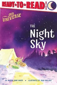 bokomslag The Night Sky