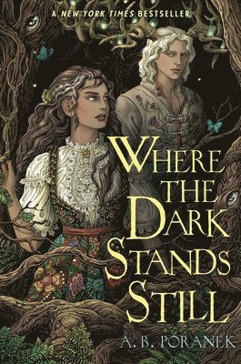 Where the Dark Stands Still