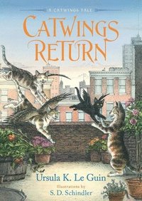 bokomslag Catwings Return