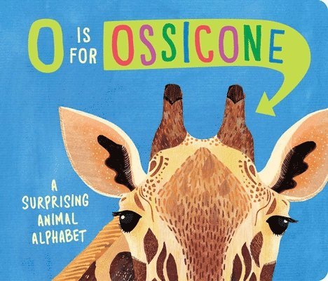 O Is For Ossicone 1