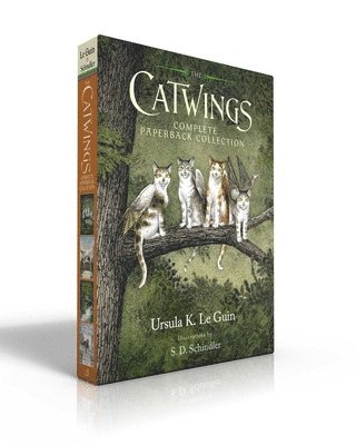 bokomslag The Catwings Complete Paperback Collection (Boxed Set): Catwings; Catwings Return; Wonderful Alexander and the Catwings; Jane on Her Own