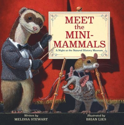 Meet the Mini-Mammals 1