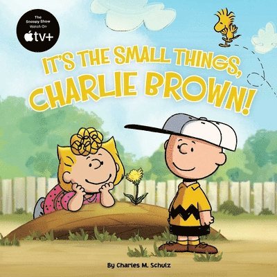 Charles  M. Schulz - It's the Small Things, Charlie Brown!, Häftad. Tillgänglighet: Lägg i varukorg