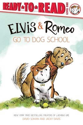 David Soman, Jacky Davis - Elvis & Romeo Go to Dog School, Häftad