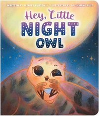 bokomslag Hey, Little Night Owl