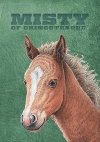 bokomslag Misty of Chincoteague: Special Edition