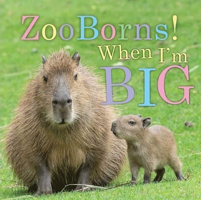 Zooborns! When I'm Big 1