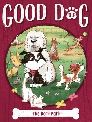 The Bark Park 1