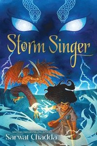 bokomslag Storm Singer