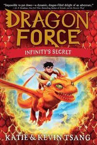 bokomslag Infinity's Secret