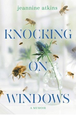 bokomslag Knocking on Windows