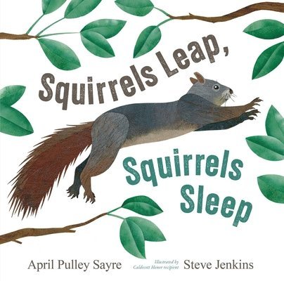 April Pulley Sayre - Squirrels Leap, Squirrels Sleep, Inbunden