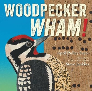 April Pulley Sayre - Woodpecker Wham!, Inbunden